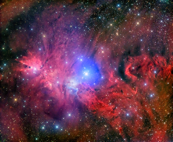 NGC 2264 - Christmas Tree Cluster & Cone Nebula - 2-Panel AG10 RGBSHO Mosaic