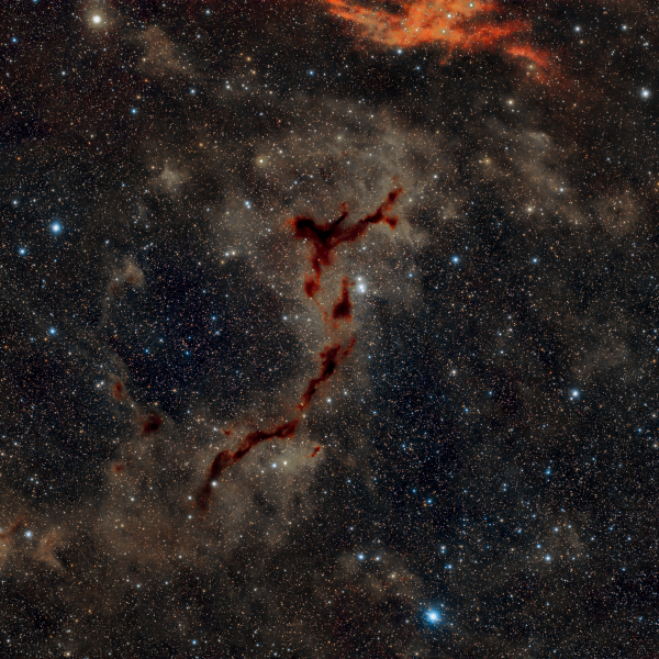B150 (The Seahorse)