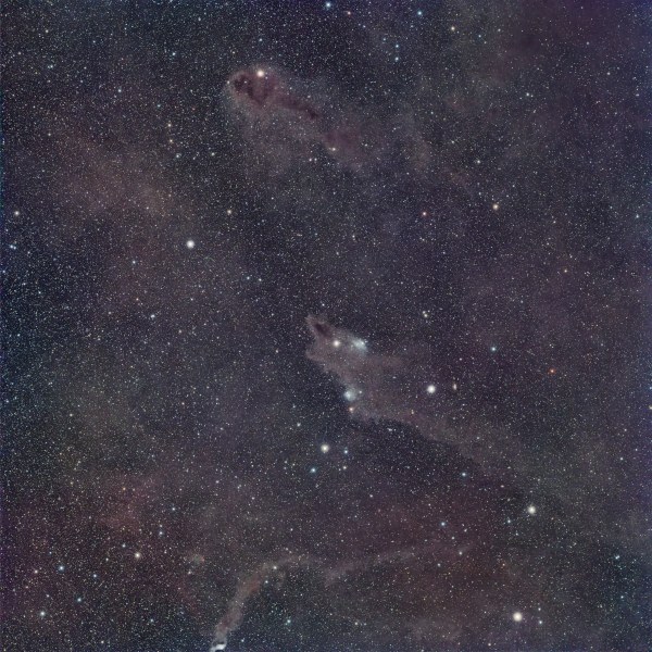 Dark Shark and Rotten Fish nebula.