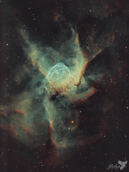 Forged in Starlight — Thor’s Helmet Nebula NGC 2359