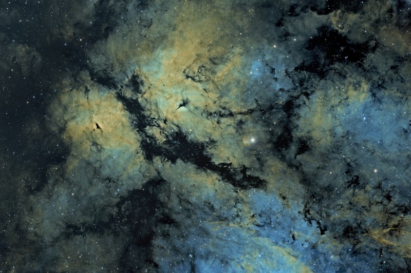 IC 1318 - Butterfly Nebula