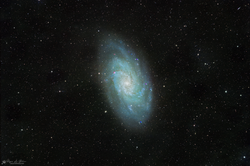 M33