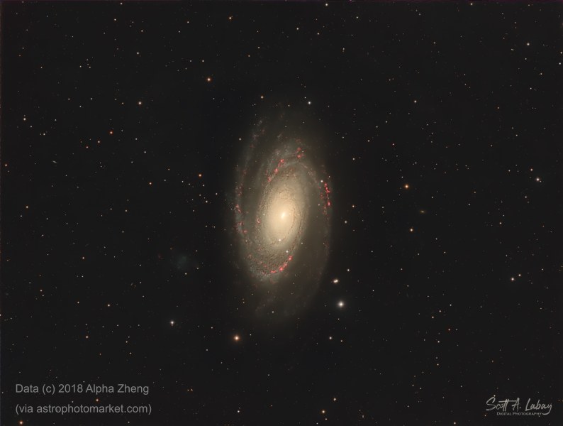 M81 HaRGB