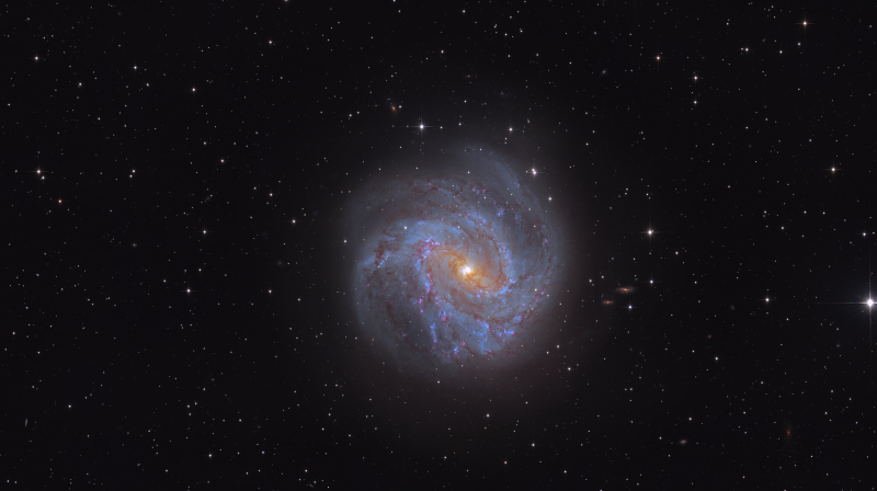 M83