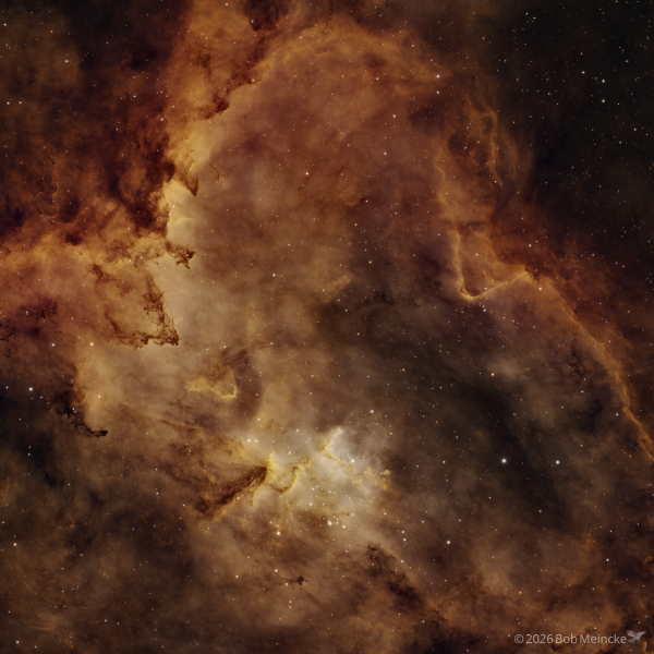 Melotte 15 — The Left Ventrical