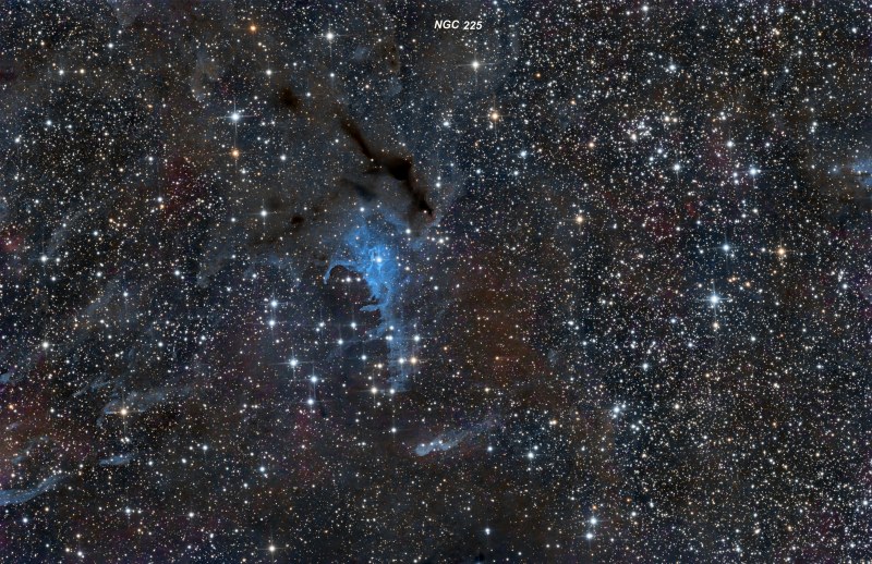 NGC225