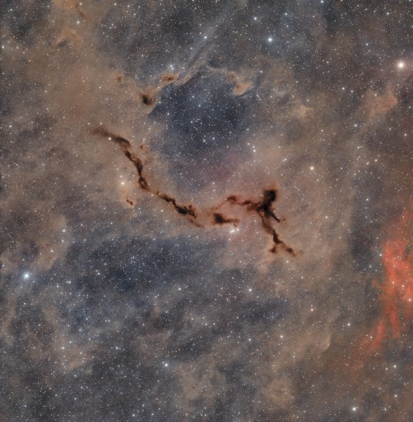 Nebulosa Caballito de Mar