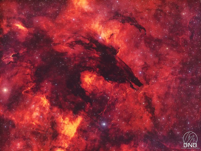 Nebulosa del Lobo Oscuro