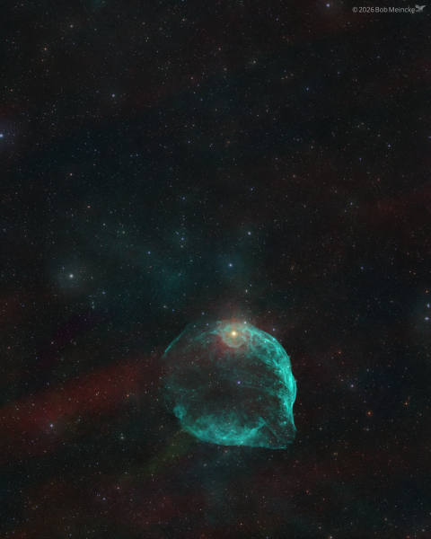 SH2-308 — A Cosmic Flipper Sighting in Canis Major