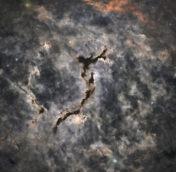 Seahorse nebula