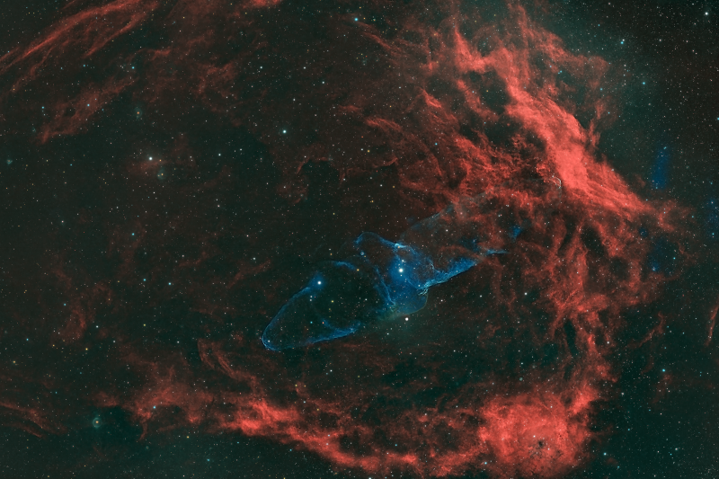 Sh2-129 Squid Nebula