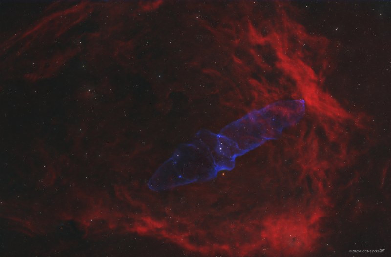 Sh2-129 & Ou4 — The Flying Bat and the Ghost Squid