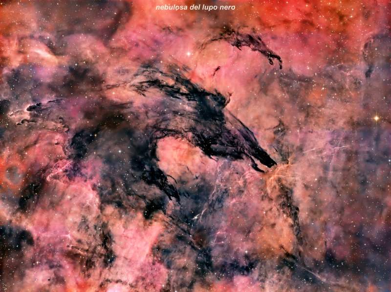 nebulosa del lupo nero