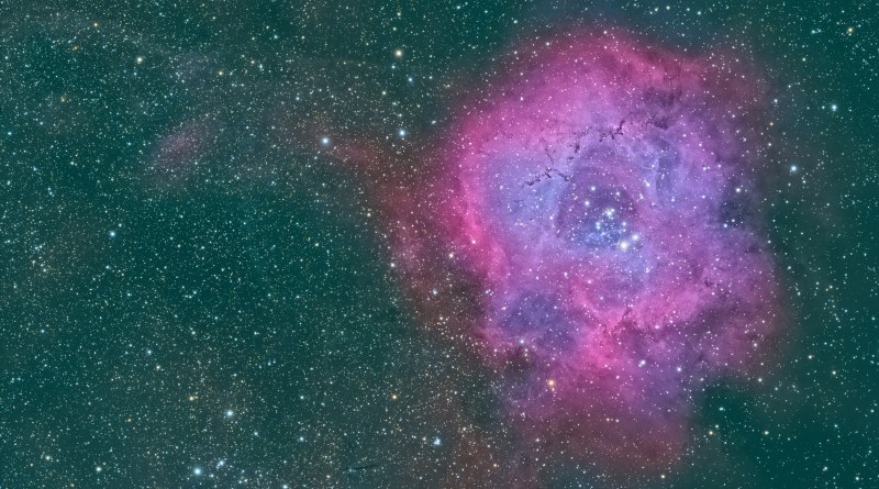 rosetta