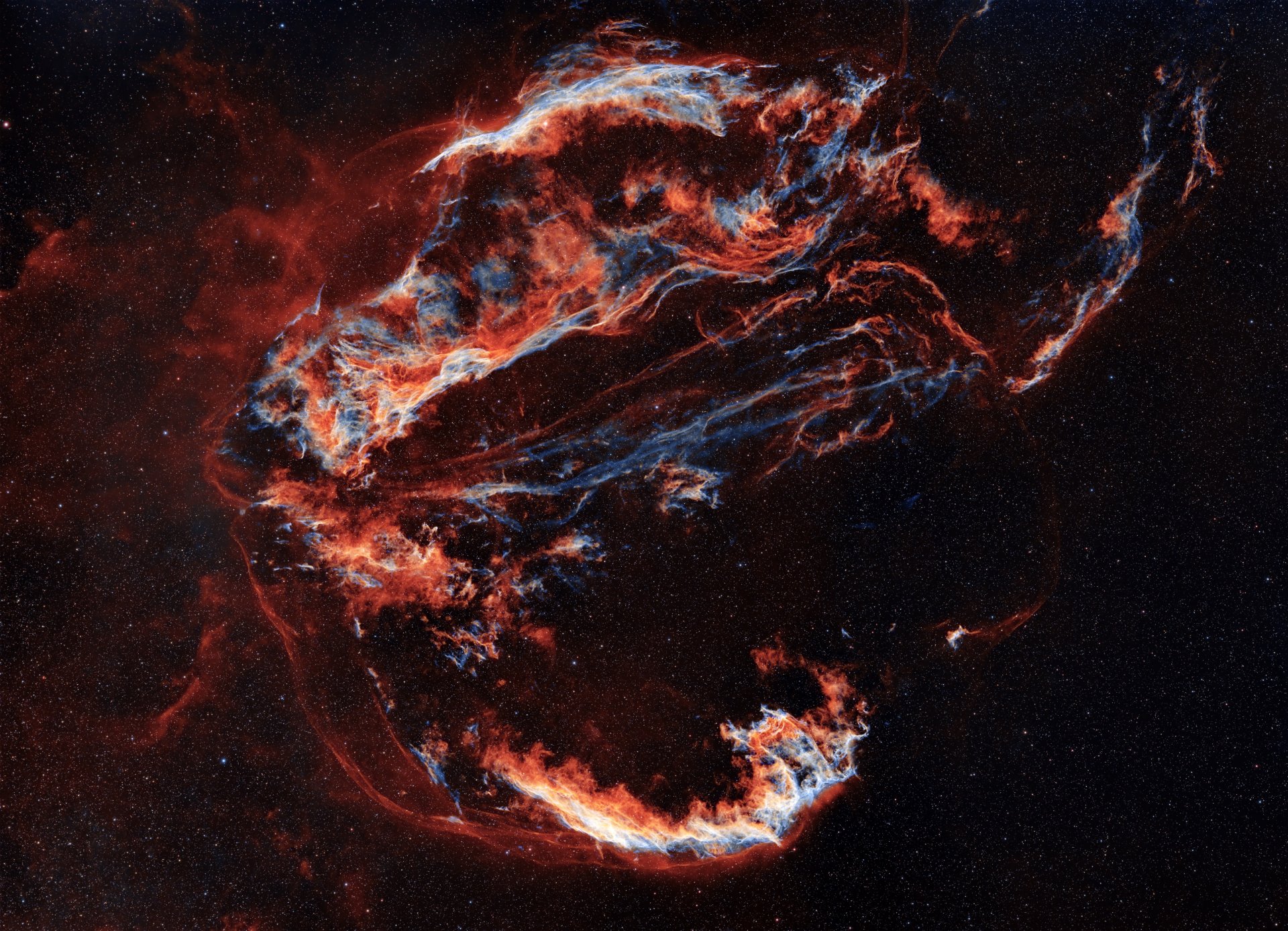 Cygnus Loop