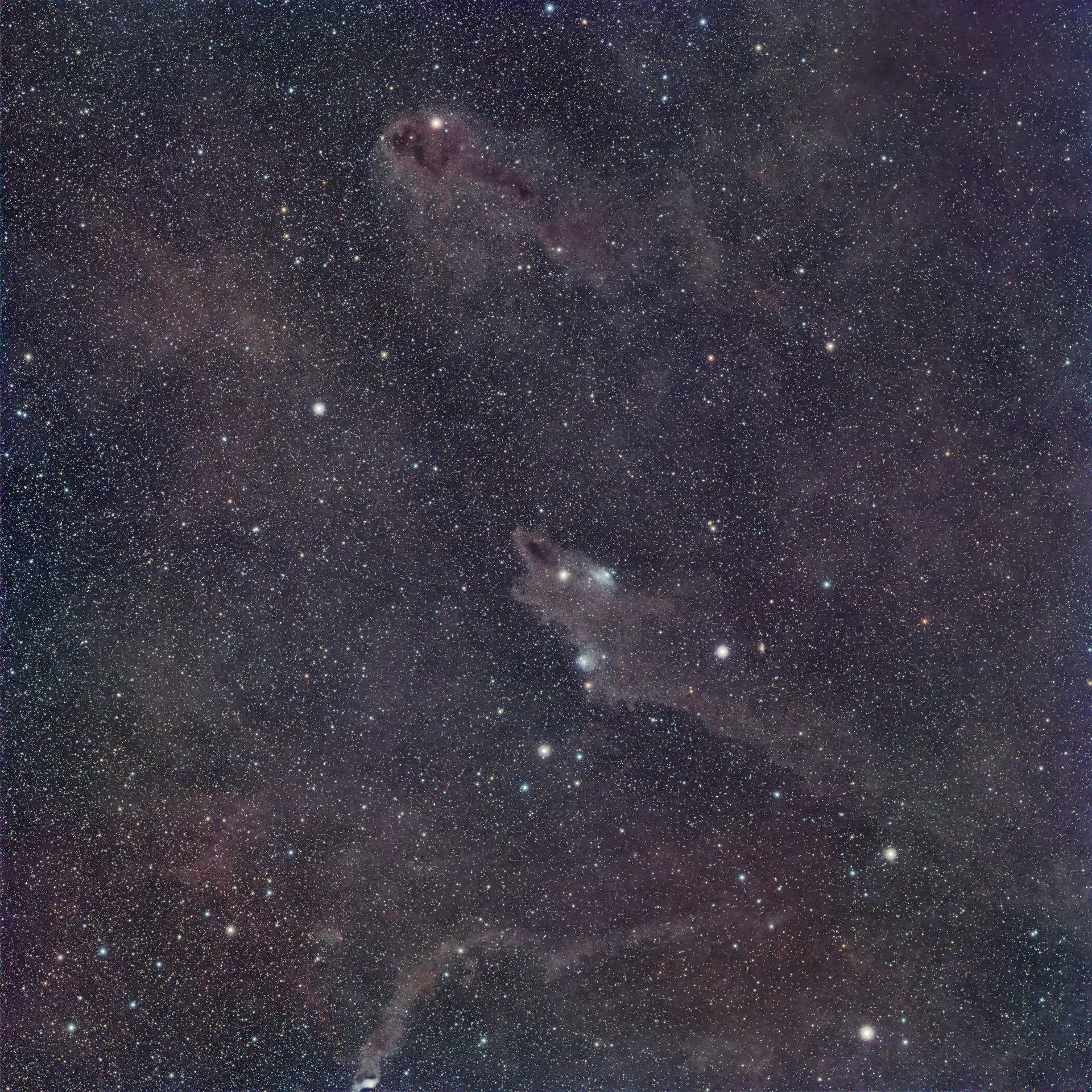 Dark Shark and Rotten Fish nebula.