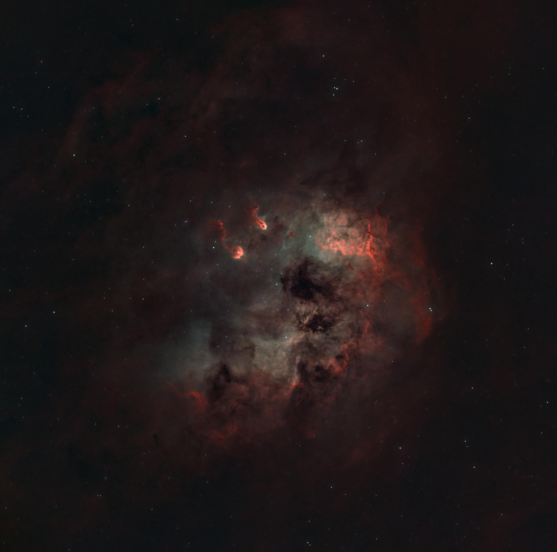 IC 410 Tadpoles