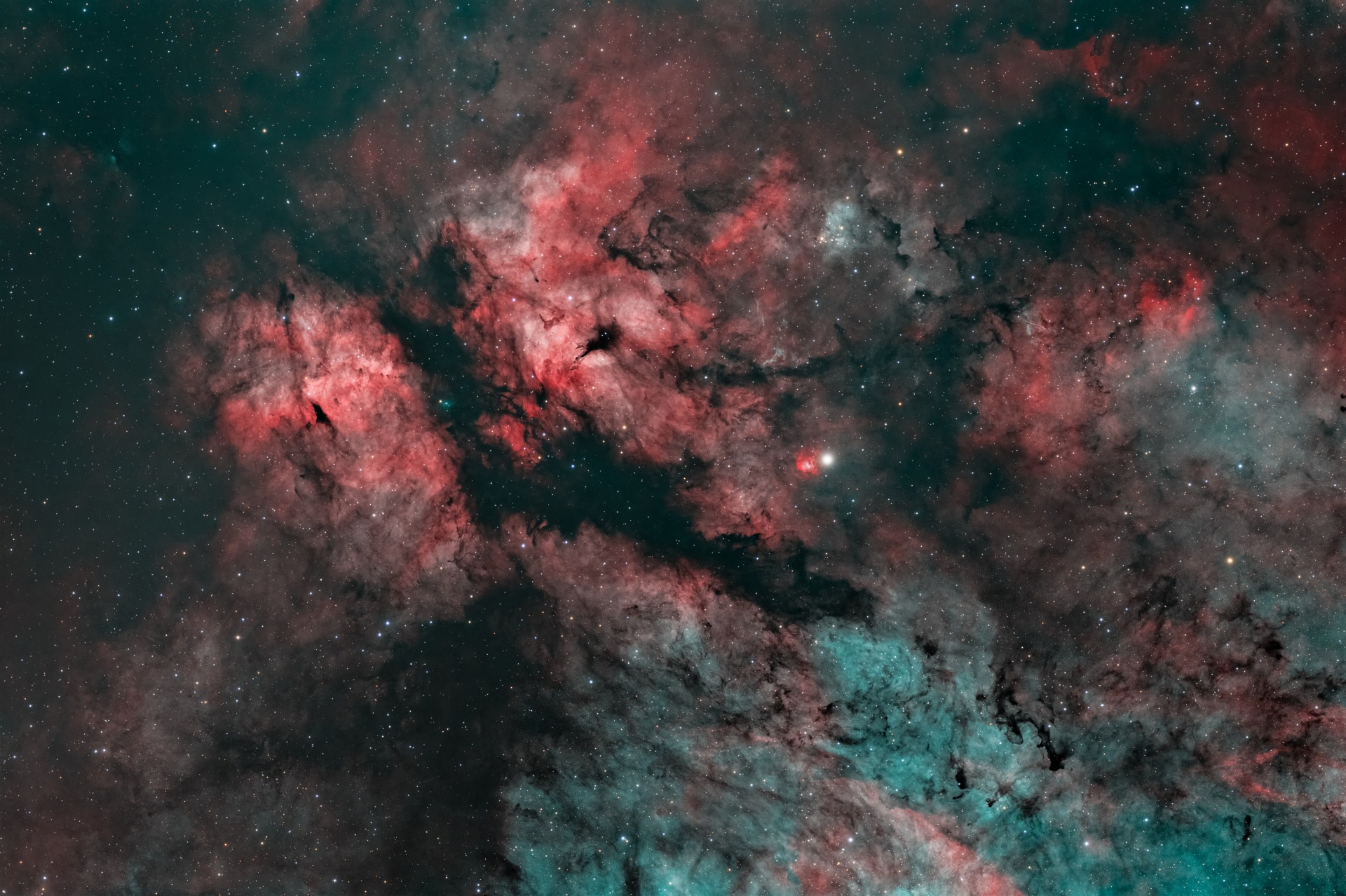 IC1318 - Nebulosa Farfalla HOO