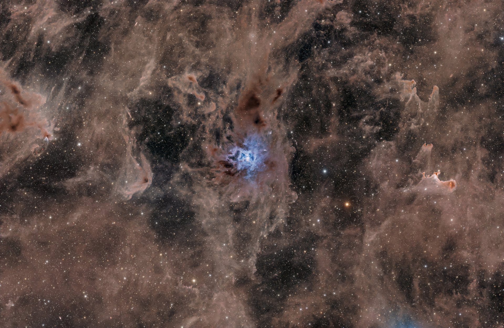Iris Nebula