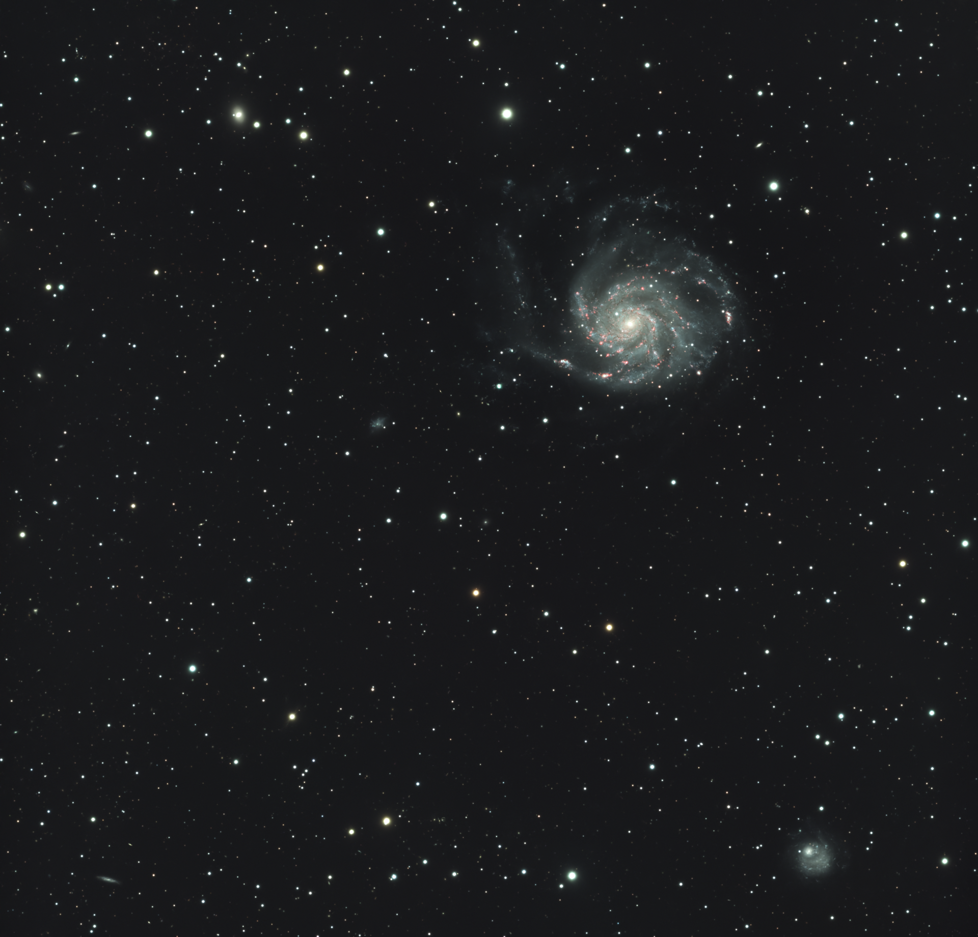 M101