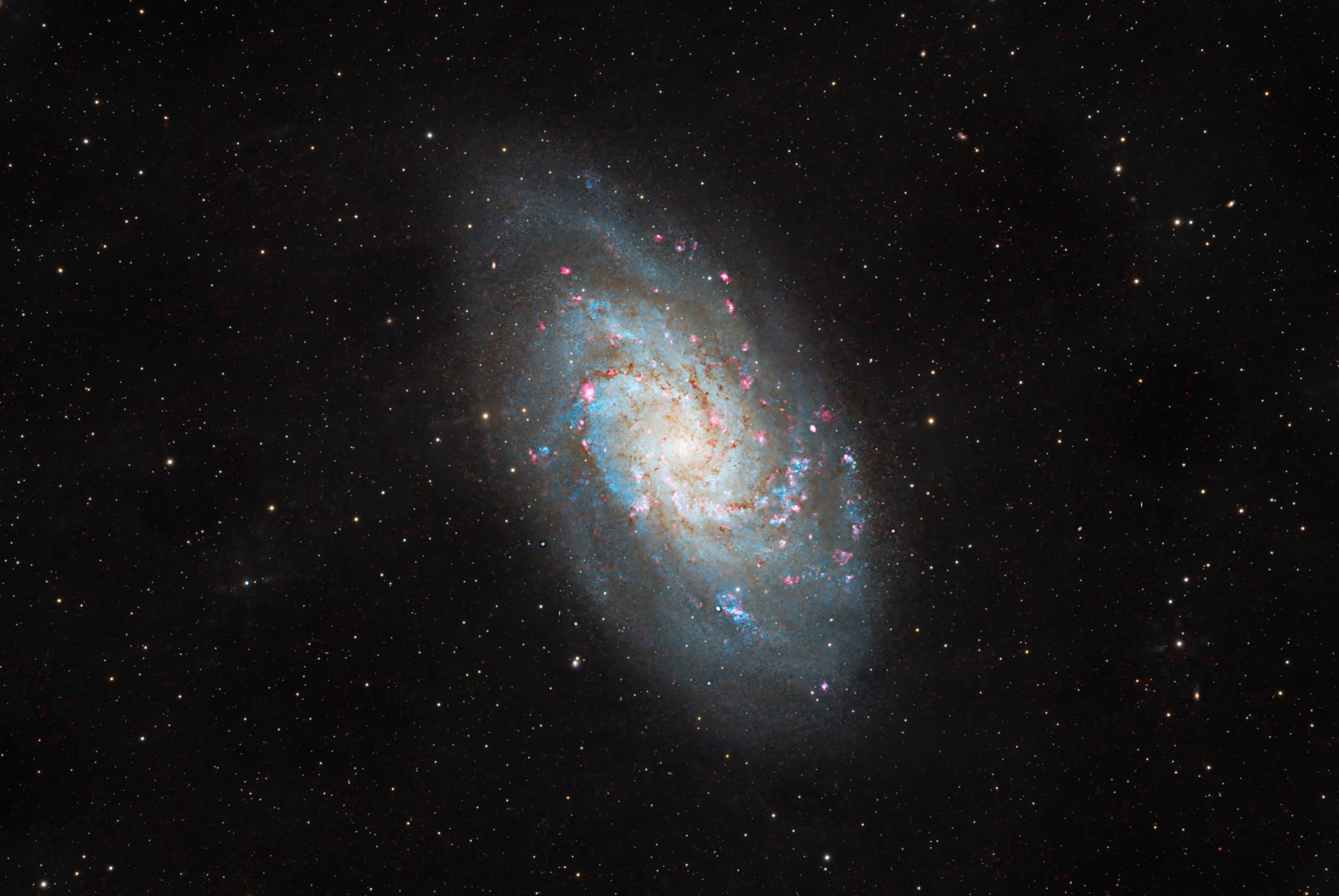 M33
