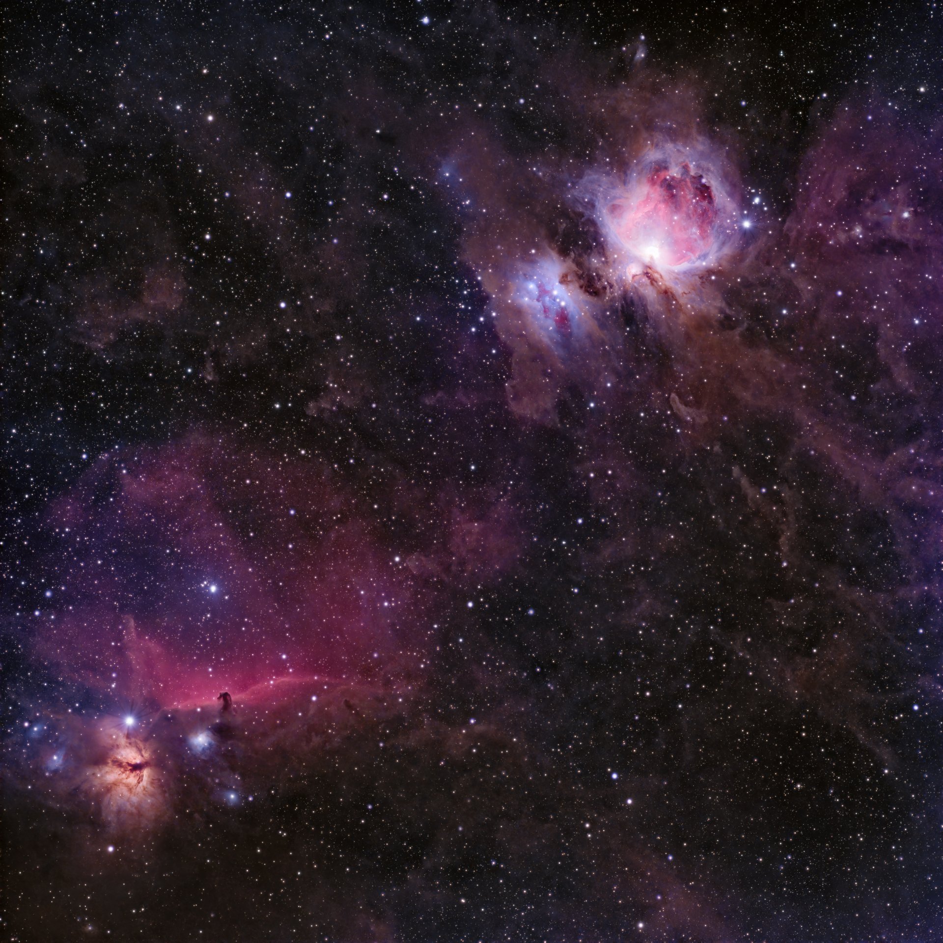M42 Complex
