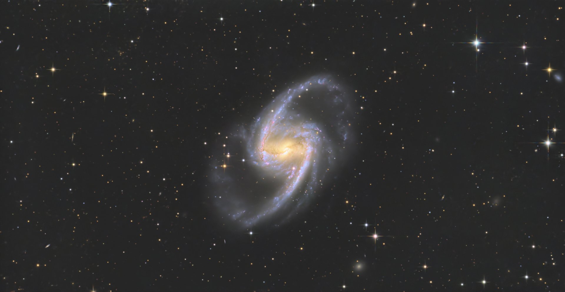 NGC1365