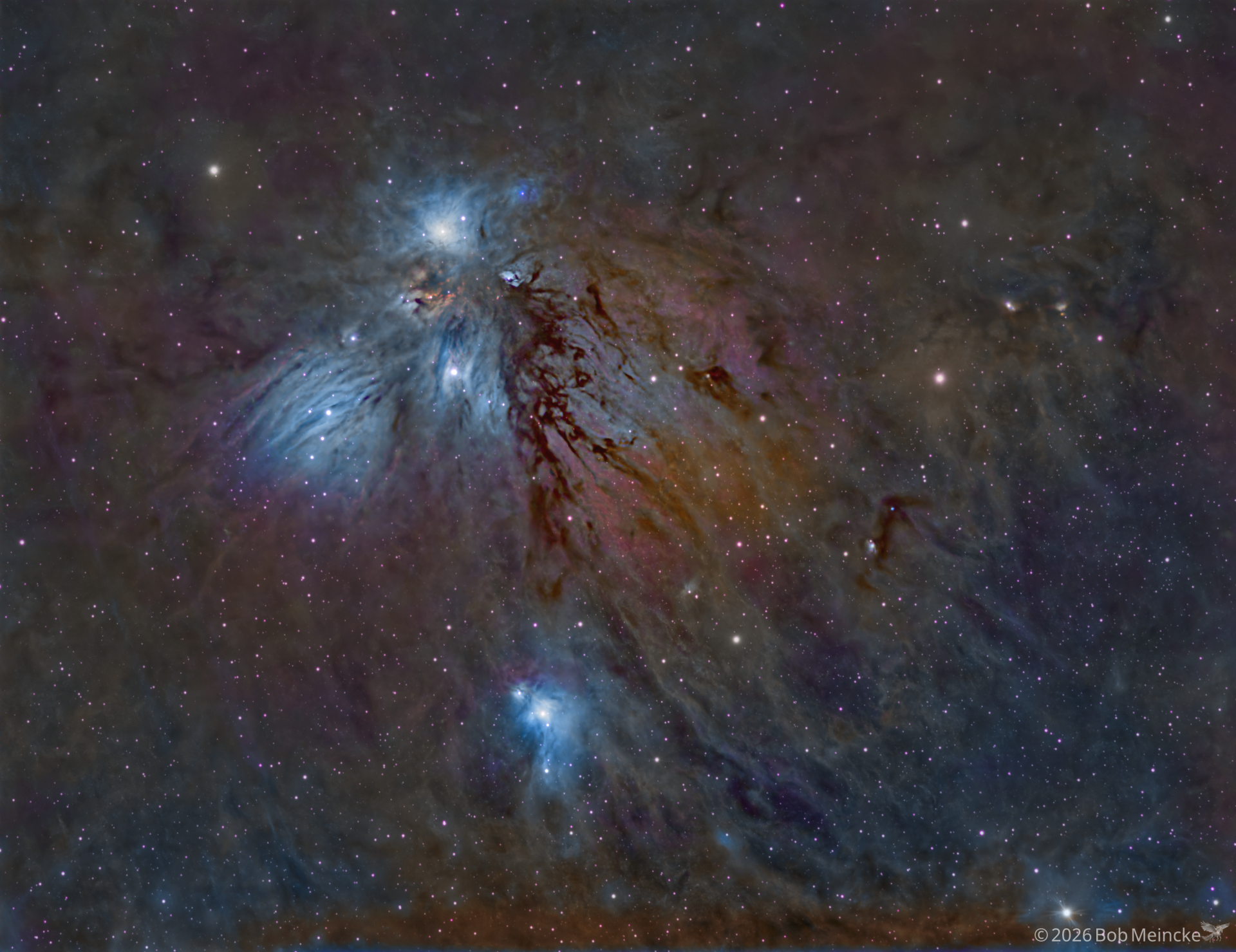 NGC2170 _ An Angel In Our Midst