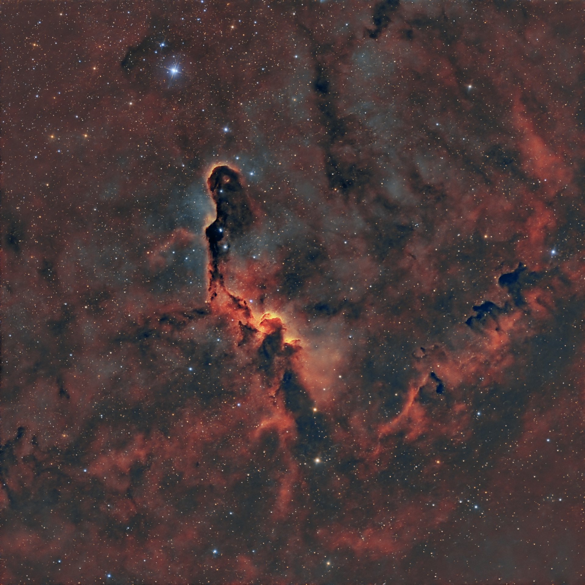 Nebulosa Trompa de Elefante