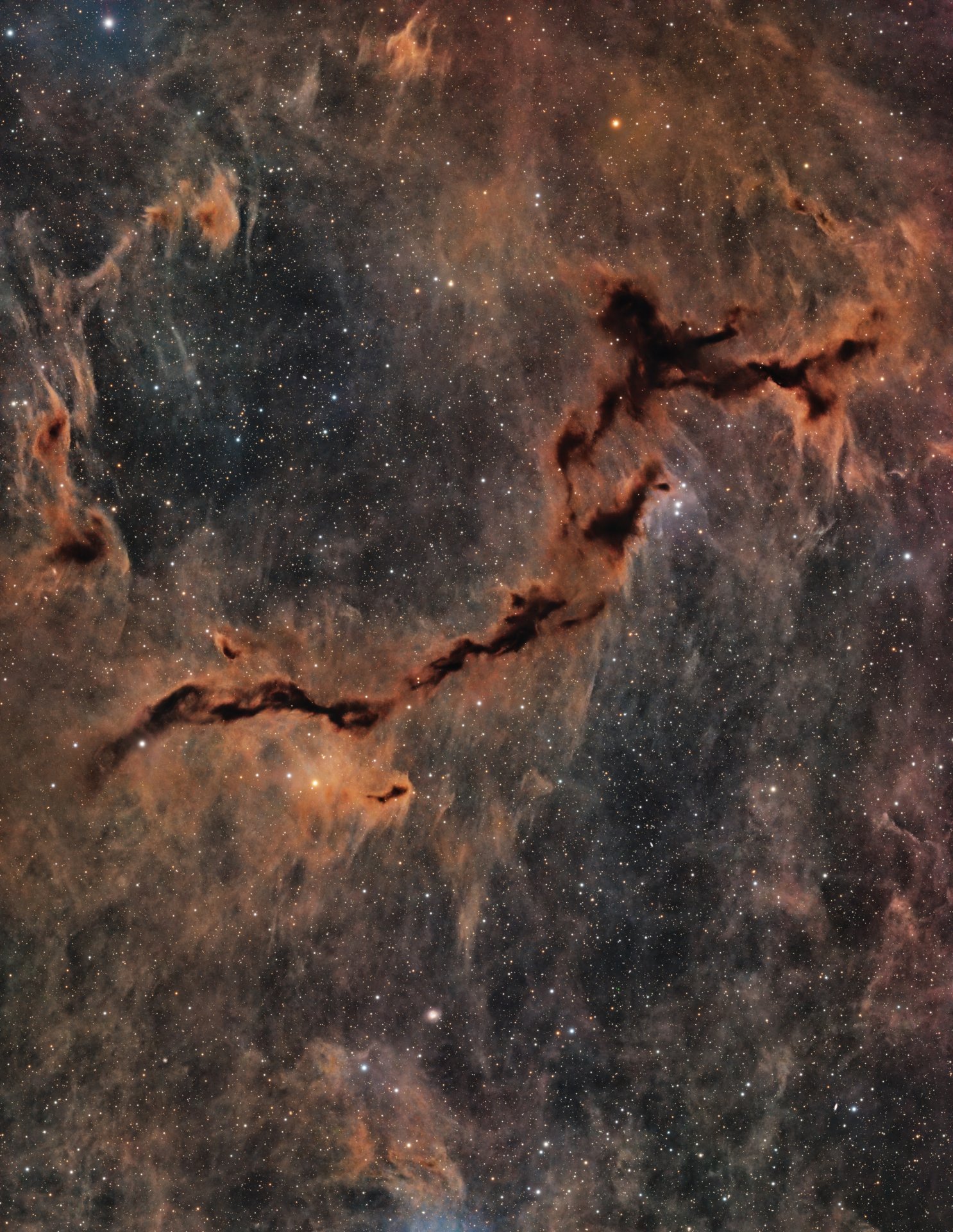 Seahorse Nebula
