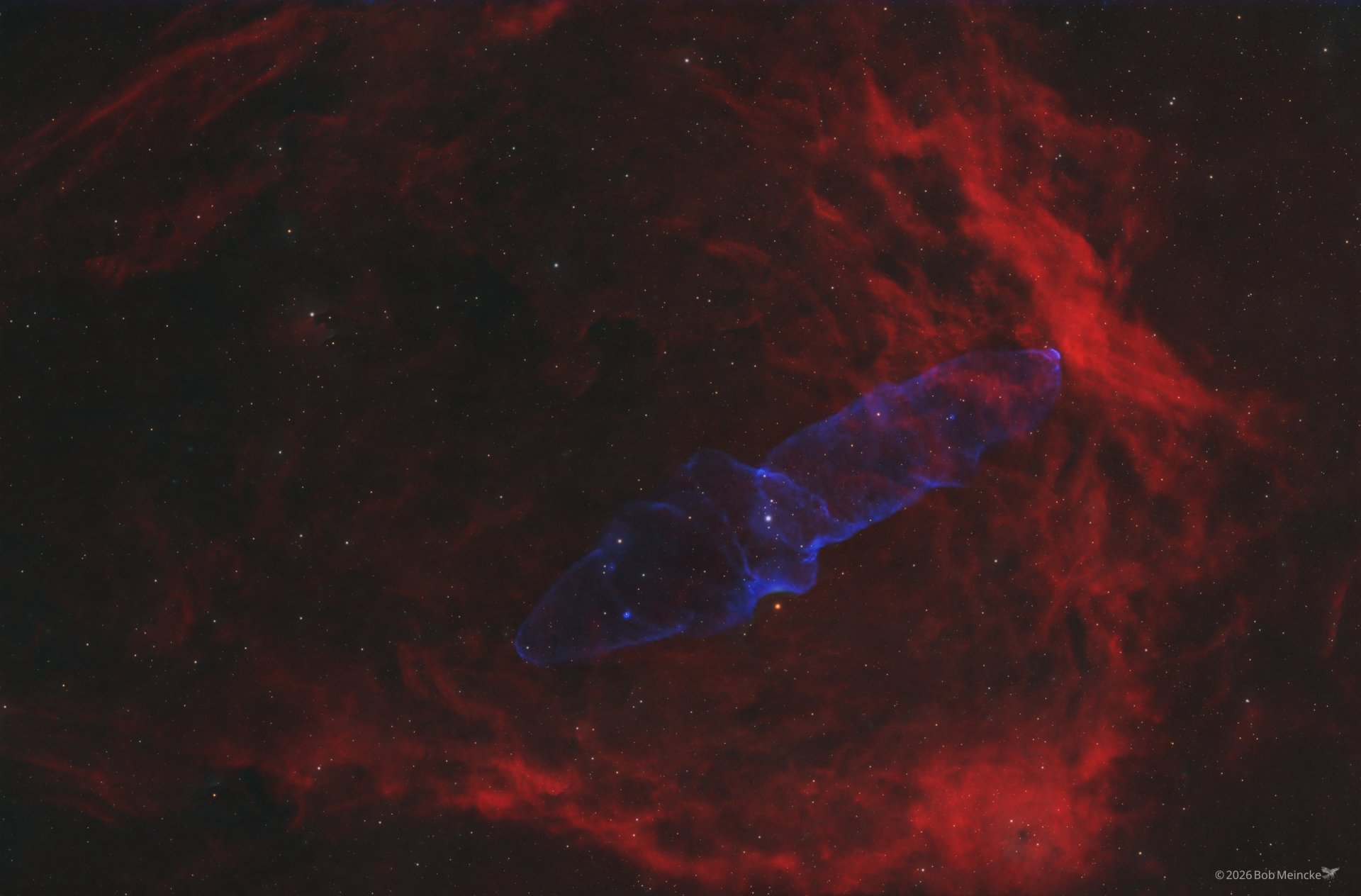 Sh2-129 & Ou4 — The Flying Bat and the Ghost Squid