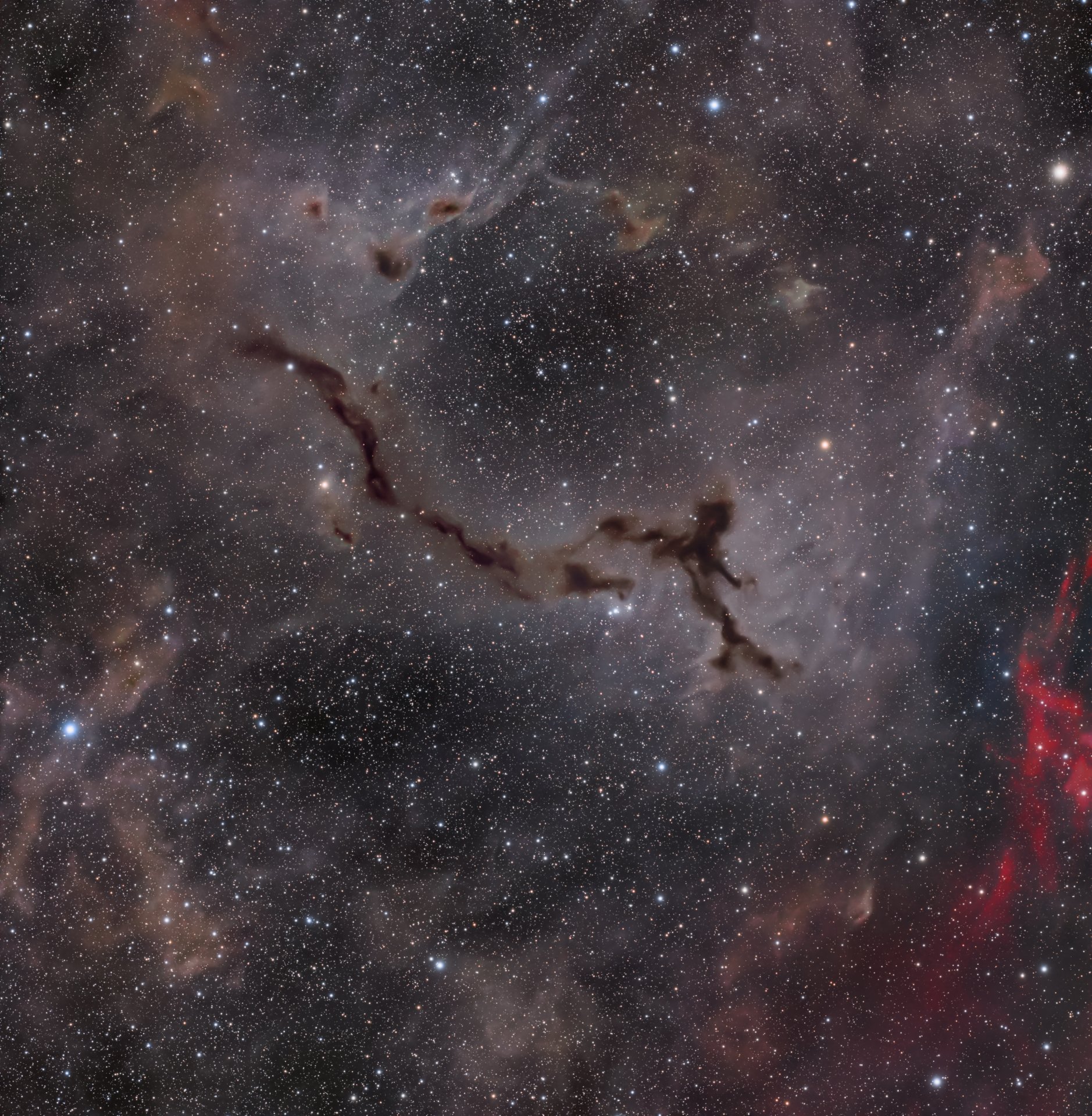 The Moonwalker - Barnard 150 in Cepheus