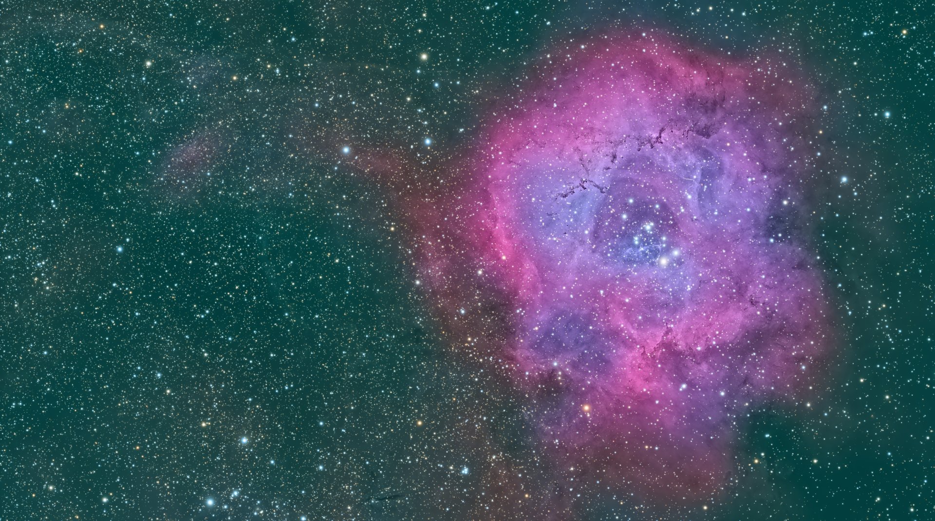 rosetta