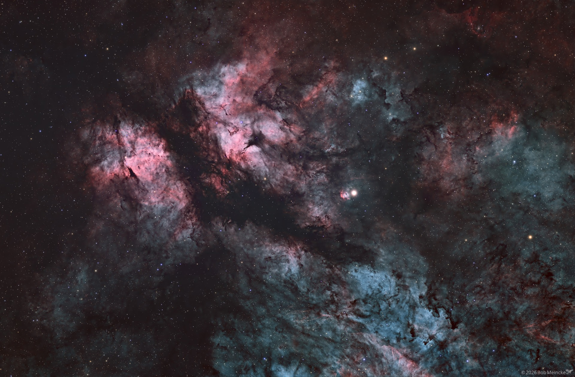 IC 1318 - Butterfly Nebula