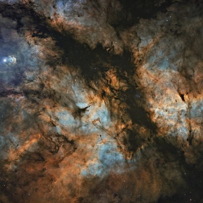 Butterply Nebula