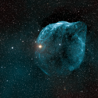 Dolphin Head Nebula SH2-308