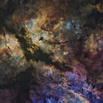 IC 1318