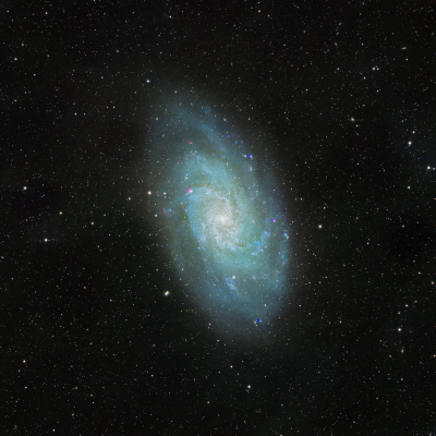 M33