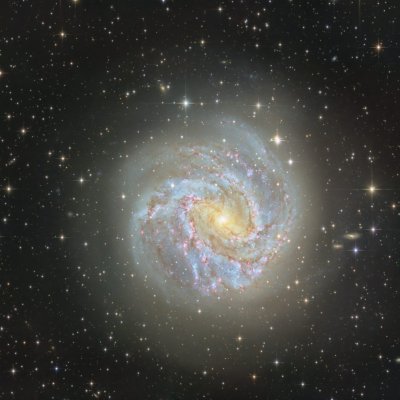 M83