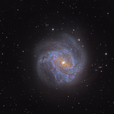 M83