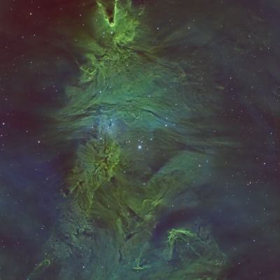 NGC 2264 — The Tree Still Lives