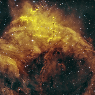 NGC 3572 — The Jumping Shrimp