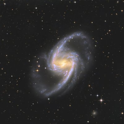 NGC1365