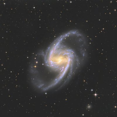 NGC1365