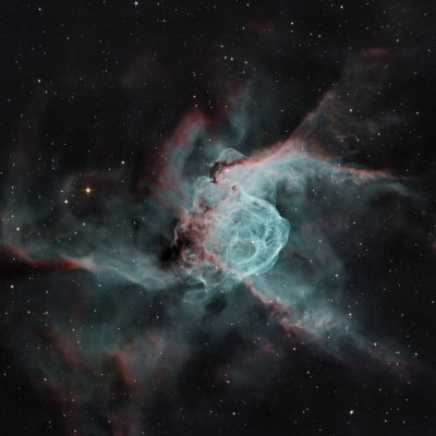 NGC2361  (c) Wade Tubman, processed by Cyril NOGER