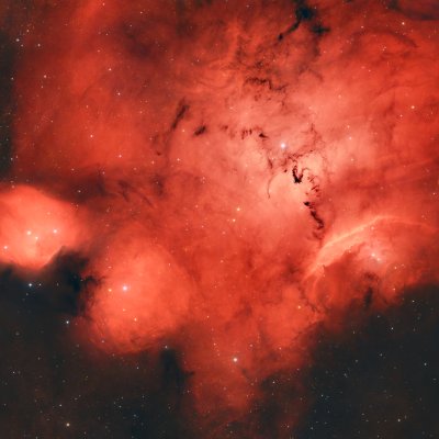Nebulosa Dragón Chino NGC 6559