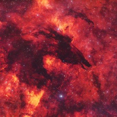 Nebulosa del Lobo Oscuro