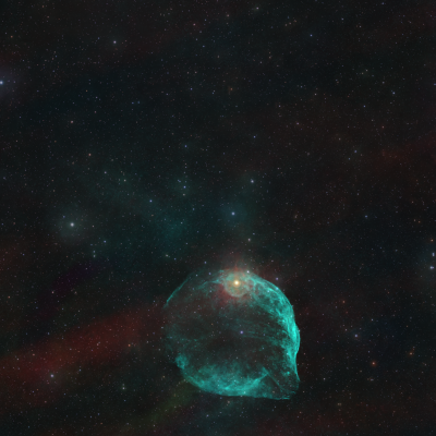 SH2-308 — A Cosmic Flipper Sighting in Canis Major