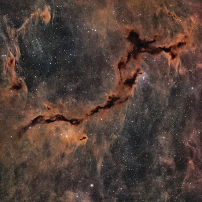 Seahorse Nebula