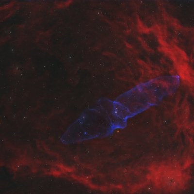 Sh2-129 & Ou4 — The Flying Bat and the Ghost Squid